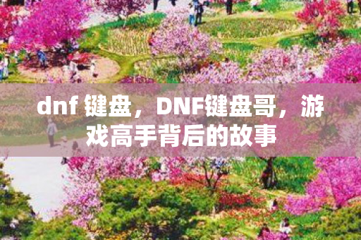 dnf 键盘，DNF键盘哥，游戏高手背后的故事