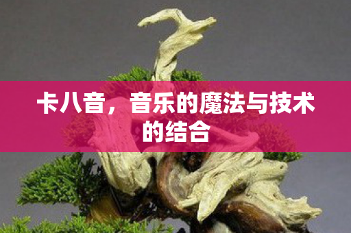 卡八音，音乐的魔法与技术的结合