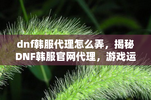 dnf韩服代理怎么弄，揭秘DNF韩服官网代理，游戏运营背后的故事