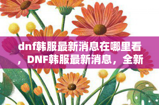 dnf韩服最新消息在哪里看，DNF韩服最新消息，全新改版内容曝光，玩家期待已久的功能终于上线