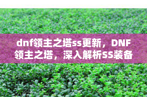 dnf领主之塔ss更新，DNF领主之塔，深入解析SS装备的秘密