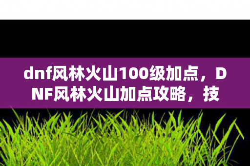 dnf风林火山100级加点，DNF风林火山加点攻略，技能分配与角色优化