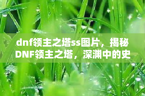 dnf领主之塔ss图片，揭秘DNF领主之塔，深渊中的史诗级挑战