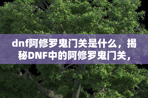 dnf阿修罗鬼门关是什么，揭秘DNF中的阿修罗鬼门关，神秘副本与角色深度解析