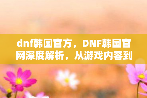 dnf韩国官方，DNF韩国官网深度解析，从游戏内容到社区生态，带你领略不一样的地下城与勇士世界