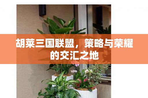 胡莱三国联盟，策略与荣耀的交汇之地