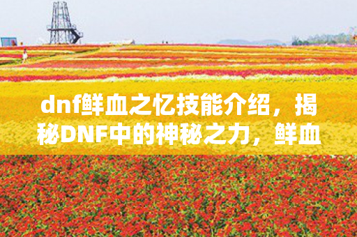 dnf鲜血之忆技能介绍，揭秘DNF中的神秘之力，鲜血之忆的奥秘与力量