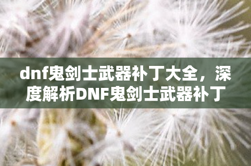 dnf鬼剑士武器补丁大全，深度解析DNF鬼剑士武器补丁，从外观到性能，全方位改变游戏体验！