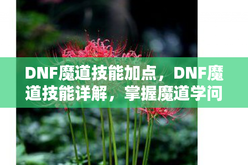 DNF魔道技能加点，DNF魔道技能详解，掌握魔道学问，成为战场上的策略大师