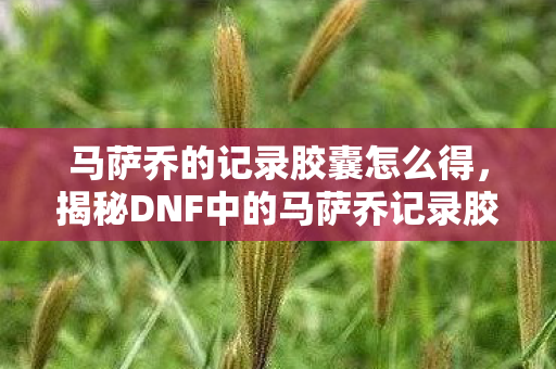 马萨乔的记录胶囊怎么得,揭秘DNF中的马萨乔记录胶囊,一段传奇的史诗之旅 马萨乔的记录胶囊怎么得,揭秘DNF中的马萨乔记录胶囊,一段传奇的史诗之旅