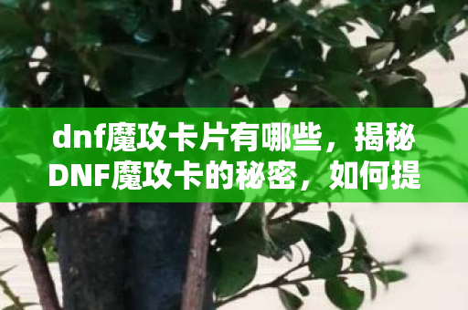 dnf魔攻卡片有哪些，揭秘DNF魔攻卡的秘密，如何提升角色攻击力？