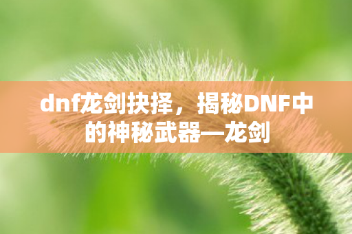 dnf龙剑抉择,揭秘DNF中的神秘武器—龙剑 dnf龙剑抉择,揭秘DNF中的神秘武器—龙剑