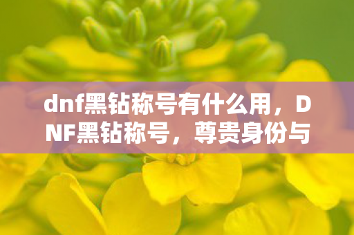 dnf黑钻称号有什么用，DNF黑钻称号，尊贵身份与游戏特权的象征