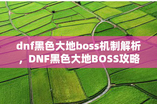 dnf黑色大地boss机制解析，DNF黑色大地BOSS攻略，轻松应对，高效击败！