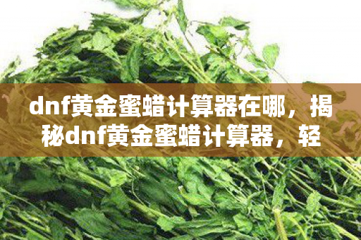 dnf黄金蜜蜡计算器在哪,揭秘dnf黄金蜜蜡计算器,轻松提升你的游戏收益! dnf黄金蜜蜡计算器在哪,揭秘dnf黄金蜜蜡计算器,轻松提升你的游戏收益!