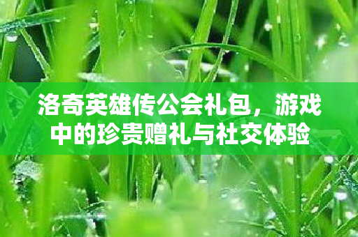 洛奇英雄传公会礼包，游戏中的珍贵赠礼与社交体验