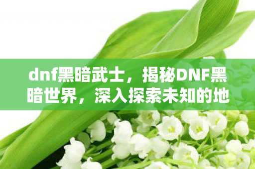 dnf黑暗武士，揭秘DNF黑暗世界，深入探索未知的地下城与勇士之路