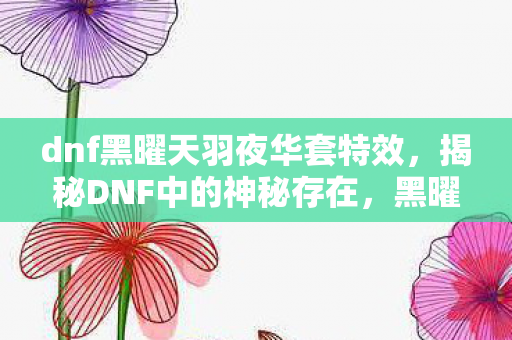 dnf黑曜天羽夜华套特效，揭秘DNF中的神秘存在，黑曜天羽夜华