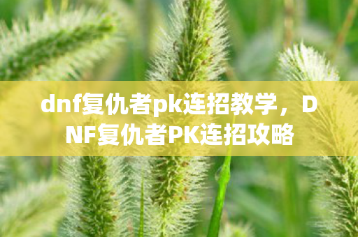 dnf复仇者pk连招教学,DNF复仇者PK连招攻略 dnf复仇者pk连招教学,DNF复仇者PK连招攻略