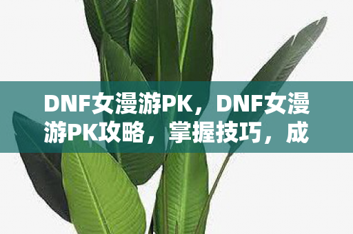 DNF女漫游PK,DNF女漫游PK攻略,掌握技巧,成为竞技场上的佼佼者! DNF女漫游PK,DNF女漫游PK攻略,掌握技巧,成为竞技场上的佼佼者!