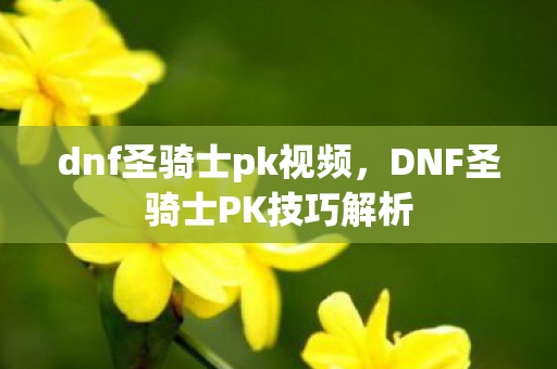 dnf圣骑士pk视频,DNF圣骑士PK技巧解析 dnf圣骑士pk视频,DNF圣骑士PK技巧解析