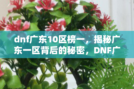 dnf广东10区榜一,揭秘广东一区背后的秘密,DNF广东十区的故事与传奇玩家 dnf广东10区榜一,揭秘广东一区背后的秘密,DNF广东十区的故事与传奇玩家