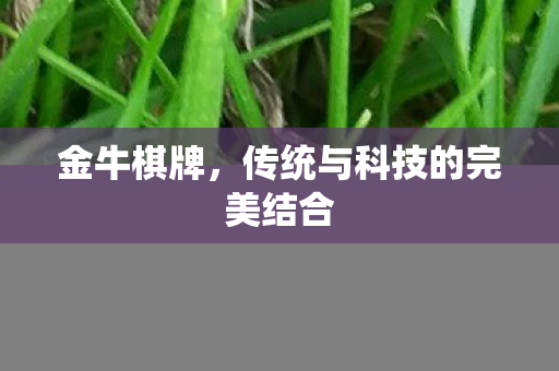 金牛棋牌，传统与科技的完美结合