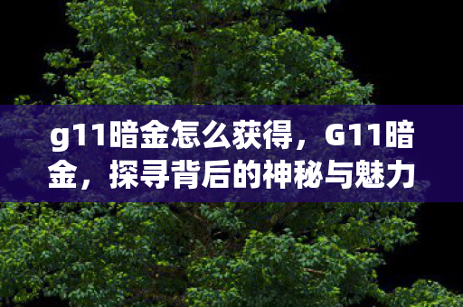 g11暗金怎么获得，G11暗金，探寻背后的神秘与魅力
