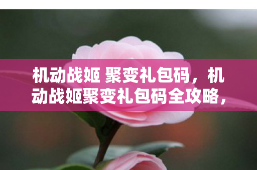 机动战姬 聚变礼包码，机动战姬聚变礼包码全攻略，获取独家福利，助力你的游戏之旅！