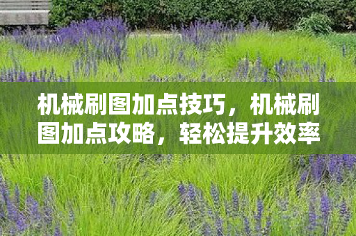 机械刷图加点技巧，机械刷图加点攻略，轻松提升效率与战斗力