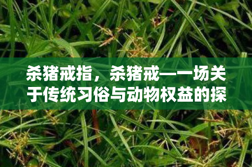 杀猪戒指，杀猪戒—一场关于传统习俗与动物权益的探讨