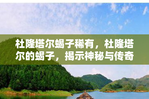 杜隆塔尔蝎子稀有，杜隆塔尔的蝎子，揭示神秘与传奇
