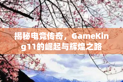 揭秘电竞传奇，GameKing11的崛起与辉煌之路