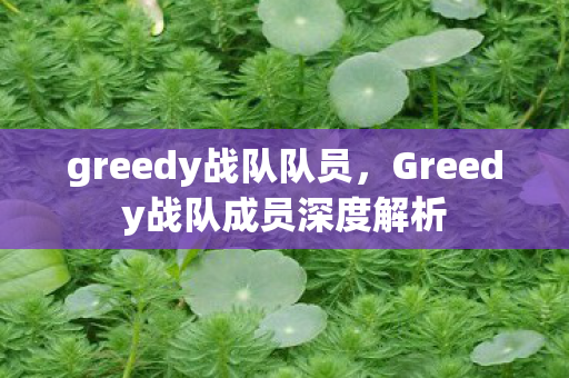 greedy战队队员，Greedy战队成员深度解析