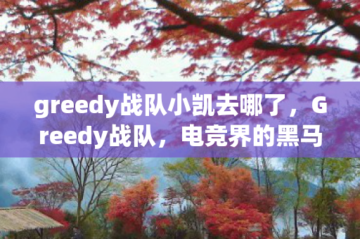 greedy战队小凯去哪了，Greedy战队，电竞界的黑马新势力