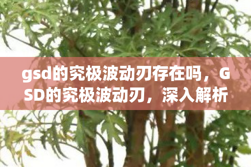 gsd的究极波动刃存在吗，GSD的究极波动刃，深入解析与实战应用探讨