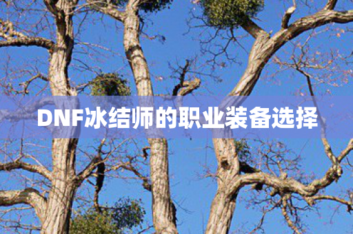 DNF冰结师的职业装备选择