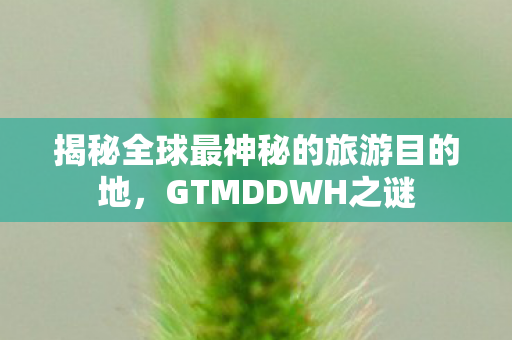 揭秘全球最神秘的旅游目的地，GTMDDWH之谜