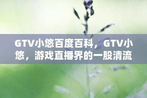GTV小悠百度百科，GTV小悠，游戏直播界的一股清流