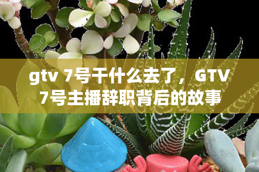 gtv 7号干什么去了，GTV7号主播辞职背后的故事
