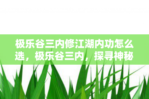极乐谷三内修江湖内功怎么选，极乐谷三内，探寻神秘力量的奥秘