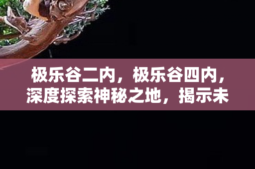 极乐谷二内，极乐谷四内，深度探索神秘之地，揭示未知之谜