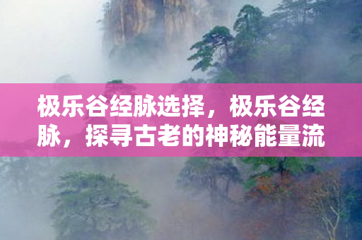 极乐谷经脉选择，极乐谷经脉，探寻古老的神秘能量流