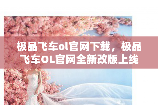 极品飞车ol官网下载，极品飞车OL官网全新改版上线，速度与激情再度燃烧！