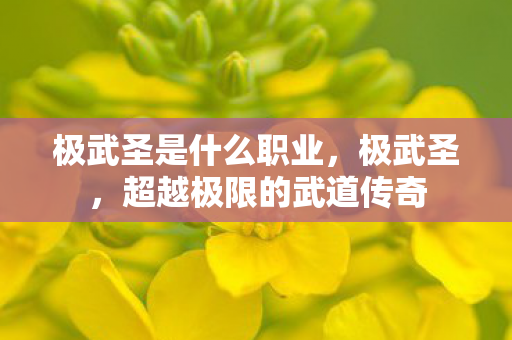 极武圣是什么职业，极武圣，超越极限的武道传奇