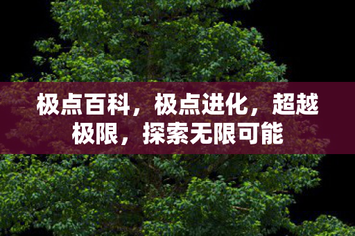 极点百科，极点进化，超越极限，探索无限可能