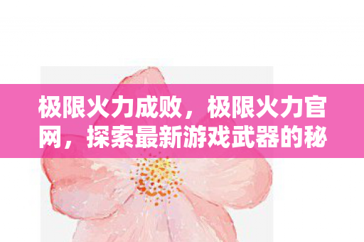 极限火力成败，极限火力官网，探索最新游戏武器的秘密乐园