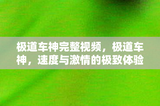 极道车神完整视频，极道车神，速度与激情的极致体验—下载攻略与深度评测