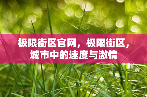 极限街区官网，极限街区，城市中的速度与激情