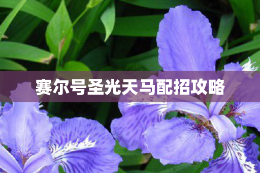 赛尔号圣光天马配招攻略